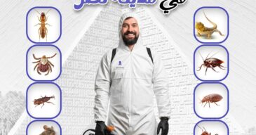 WhatsApp Image 2025-08-31 at 1.22.55 PM (1)