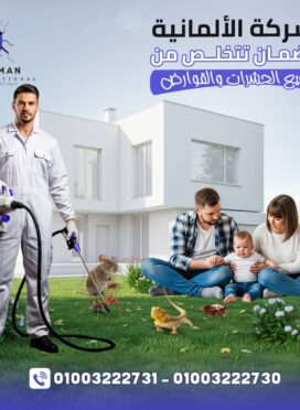 WhatsApp Image 2025-08-31 at 1.22.35 PM