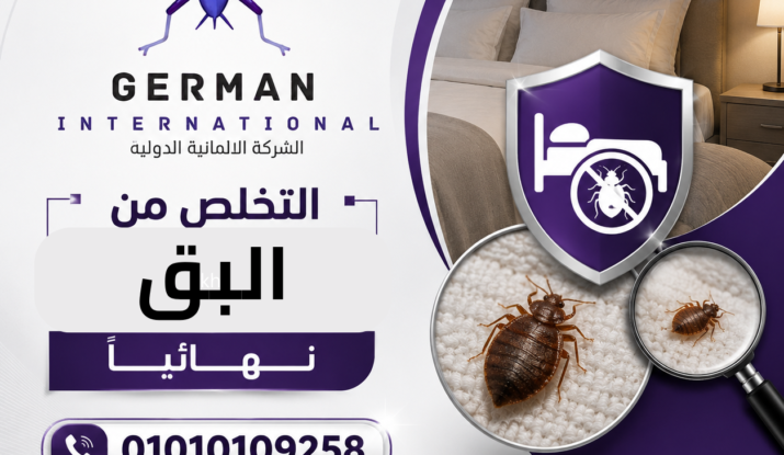 التخلص من البق نهائيًا