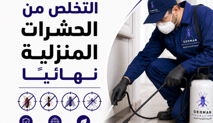 التخلص من الحشرات المنزلية نهائيًا