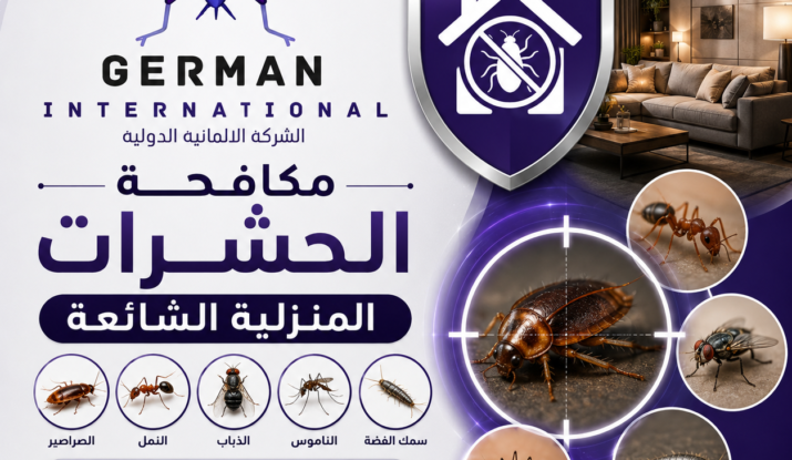 مكافحة الحشرات المنزلية الشائعة