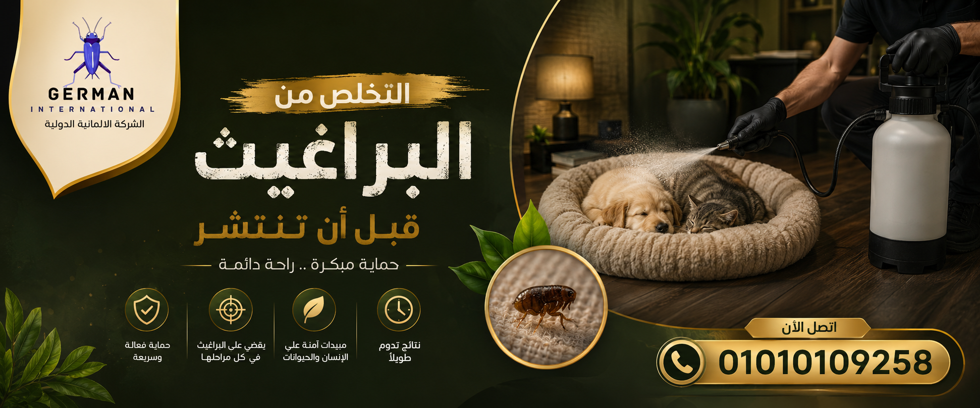 التخلص من البراغيث قبل أن تنتشر