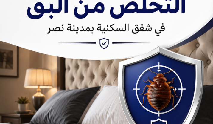 التخلص من البق فى شقق السكنية بمدينة نصر