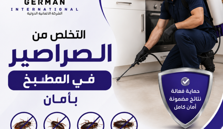 التخلص من الصراصير في المطبخ بأمان