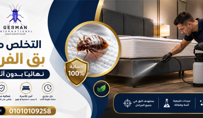 التخلص من بق الفراش نهائيًا بدون آثار جانبية