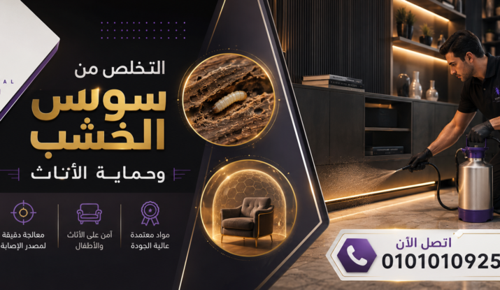 التخلص من سوس الخشب وحماية الأثاث