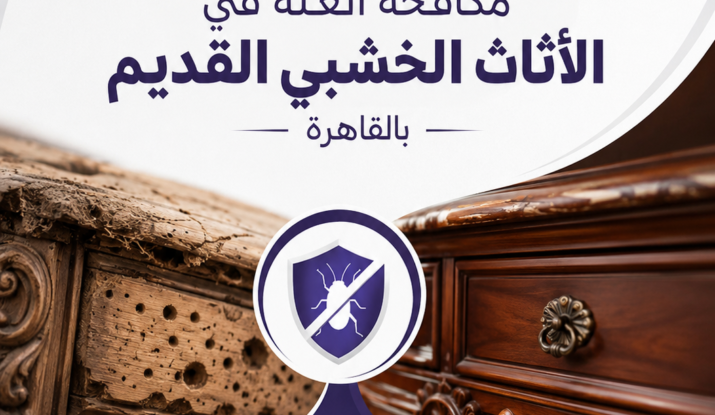 مكافحة العته في الأثاث الخشبي القديم بالقاهرة