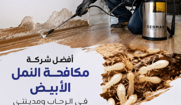 أفضل شركة مكافحة النمل الأبيض في الرحاب ومدينتي لحماية المباني