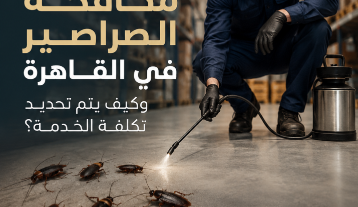 ما افضل شركة مكافحة الصراصير في القاهرة وكيف يتم تحديد تكلفة الخدمة؟
