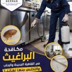 مكافحة البراغيث في القاهرة الجديدة والرحاب والتخلص منها نهائيًا