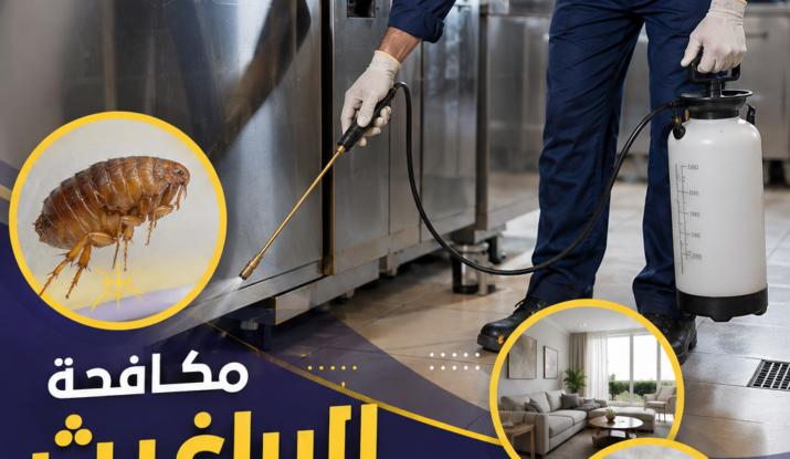 مكافحة البراغيث في القاهرة الجديدة والرحاب والتخلص منها نهائيًا