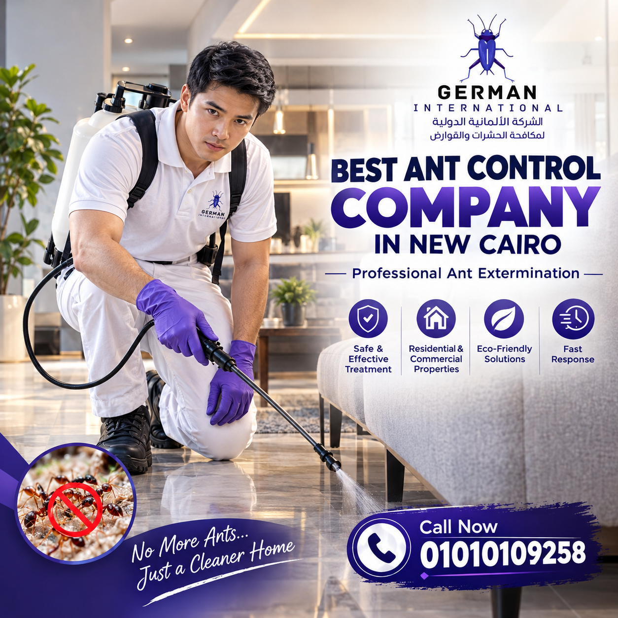 Best Ant Control Company in New Cairo Professional Ant Extermination