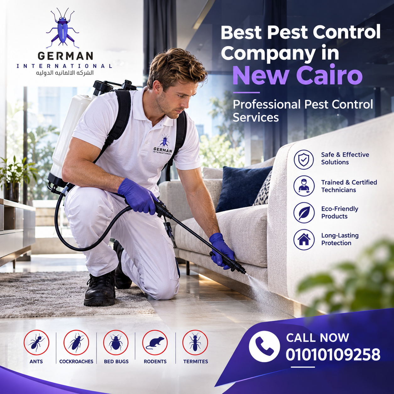 Best Pest Control Company in New Cairo Professional Pest Control Services