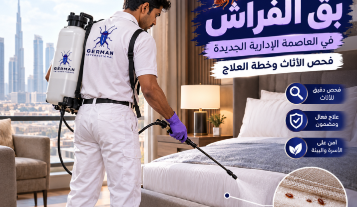 إبادة بق الفراش في العاصمة الإدارية الجديدة فحص الأثاث وخطة العلاج